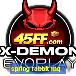 spring rabbit mq